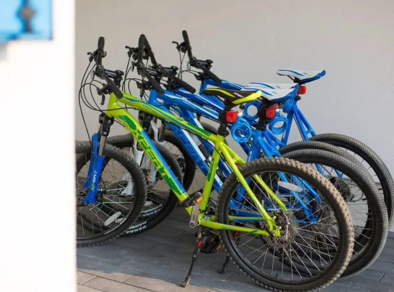 Villa Miri Privlaka Services Rent MTB Ebike