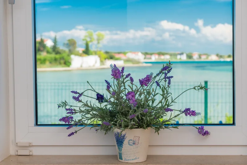 Villa Miri Privlaka Villa Miri Orchid Windows detail with Flowers and Sea